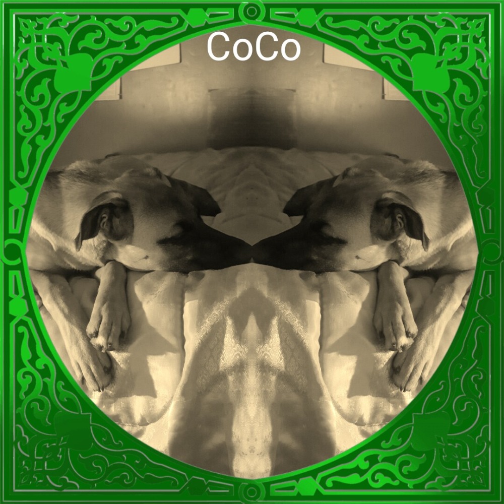 Meet your Posher, Nai